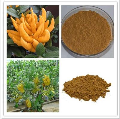 天然香料新篇章 西安蛹蟲草粉與提取物的卓越應用