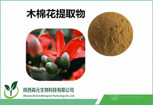 木棉花與瓊枝提取物市場價格解析及工廠專業(yè)品質(zhì)保障