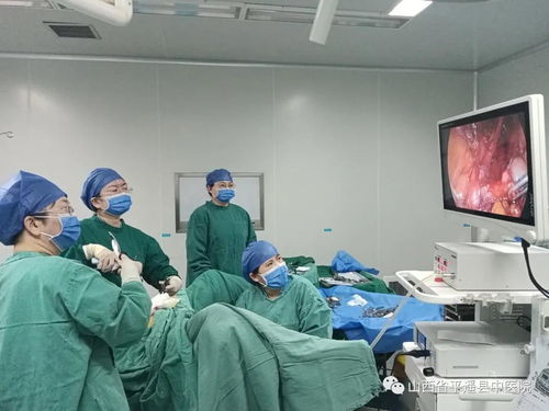 技術(shù)創(chuàng)新與服務(wù)用心 以信息技術(shù)咨詢服務(wù)推動(dòng)醫(yī)院高質(zhì)量發(fā)展