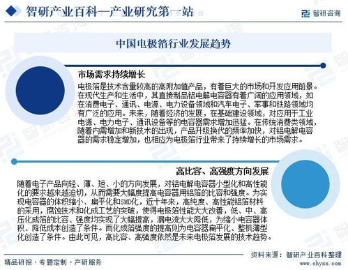 電極箔產(chǎn)業(yè)發(fā)展歷程、競(jìng)爭(zhēng)格局與市場(chǎng)前景研究